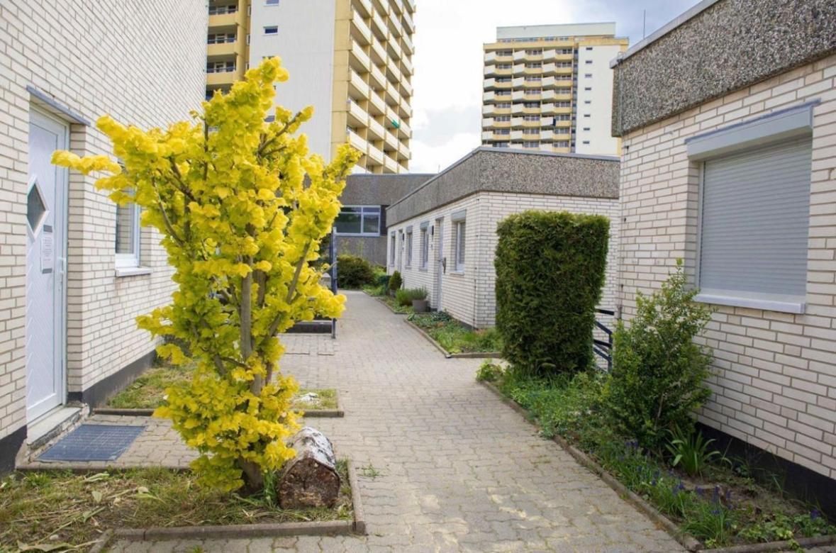 Apartment 479 Mit Schwimmbad,sauna Und Bar In Panoramic Hohegeiss